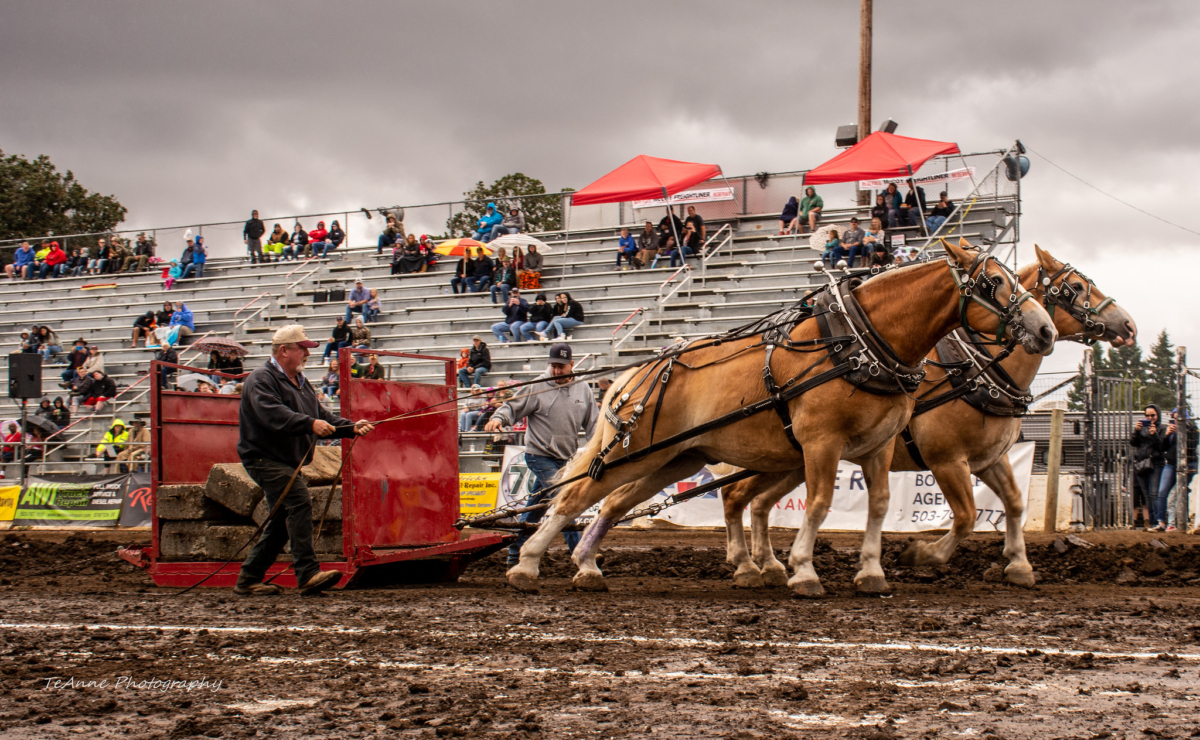 Sublimity Harvest Festival Monster Trucks, Truck Pulls and more